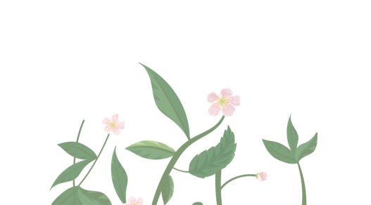 background-icon2